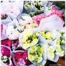 SY공인외국어번역행정사사무소 이미지