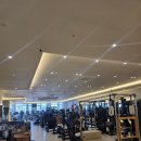 포레스트 짐 | 주엽 헬스장 포레스트짐 7개월 후기 pt