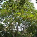 하추리영농조합법인 이미지