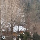 충주호당의원 이미지