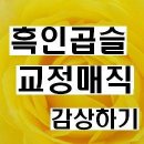 수원미용실, 수원 복구매직 이미지