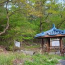 GS25 정자카페 이미지