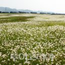 명덕낚시터