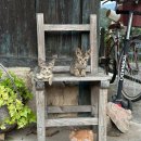 남해할무니댁 이미지