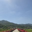 웰빙제일추어탕다슬기탕 | 밀양 가볼 만한 곳, 밀양 기회송림 공원, 밀양 꽃담뜰 보리밭, 밀양 산외면 해바라기 꽃단지, 웰빙...