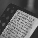 이담애포토그래피 이미지