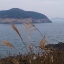 곽도