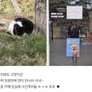 위어도커피 | 대구 봉산동 애견동반카페 위어도커피