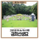 권희 묘 이미지