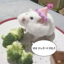 수비 버스정류장 | 개강이 있으면 종강도 있어야 사람이 삽니다