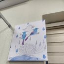 모딜리아니의원 이미지