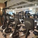 웰니스 피트니스 | 구로동헬스장 올인피트니스, 직접 다녀온 프리미엄 웰니스 후기