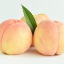 복숭아한의원 이미지