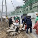 봉양읍행정복지센터 이미지