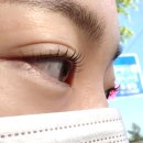 고실장쭈꾸미 | 산본역속눈썹 펌 연장 <래쉬데이>, 야간 시술 가능! 직장인 드루와 정성 가득한 산본속눈썹 샵
