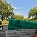 충주 계명산휴양림 제비꽃 충주여행1박2일