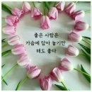 핀스쳐