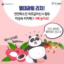 리치독