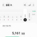 모델빠