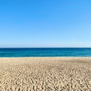 동해바다 이미지