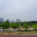 먹보고기 이미지