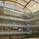 American Embassy School || 인도 국제학교