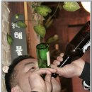 오늘안주 Daum카페
