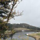 경충대로 | 더시에나 서울cc 4월 라운딩 후기