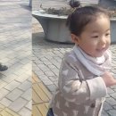 윤지민 카카오 검색결과
