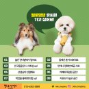 사랑가득한유치원 이미지