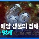 주역대전 : 繫辭上傳：제1장(第一章)_2/9節절 이미지