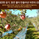 농업회사법인(주)이슬마루