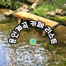 기찬농장 | 용인계곡 카페&amp;식당 리스트 총 정리-묵리계곡 오월속에 있다/갈월계곡 알루엣베이커리 후기