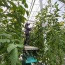 (주)재원팜 이미지