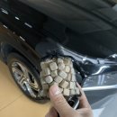 김군세차장 | 2동탄 김군출장세차 이용 후기