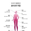 포에버인셀덤