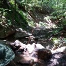 장동농장 이미지