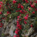 갈전농장 이미지