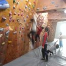 독수리 태권도장 이미지