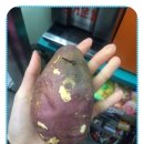 지에스편의점 이미지