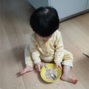 내성어린이집 | 22주차, 15개월 아기 어린이집 후기, 온가족 감기 후 회복 일상