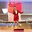 연예인 좋은 사람들의 모임 송년회. 조사모. 성경가수 . 까치밥 열창 이미지