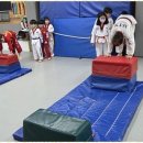 신강호 태권도 이미지