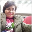 하모니카반 | 제24회 노들 가요제 동작구민노래 경연 대회 후기
