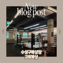 이지복싱 | 대구수성구동대구복싱장 고트복싱 복린이 복싱 배운 후기
