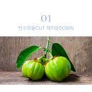 가비채