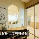 봄동살롱