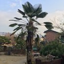 한량이네 민박 이미지