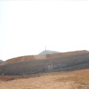 홍성목장 이미지