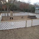 코코팬션 이미지